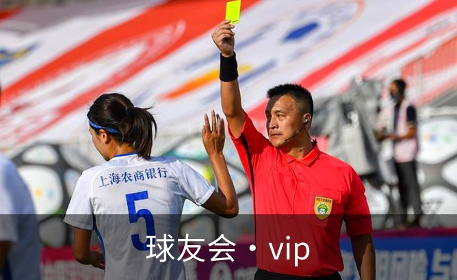 球友会·vip介绍